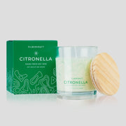 Citronella Kerzen