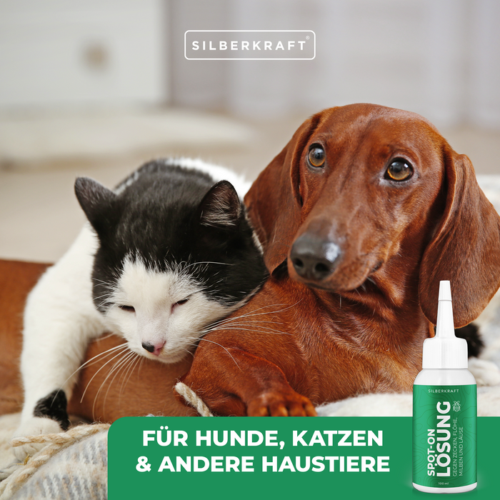 Spray antipulci e zecche per cani e gatti