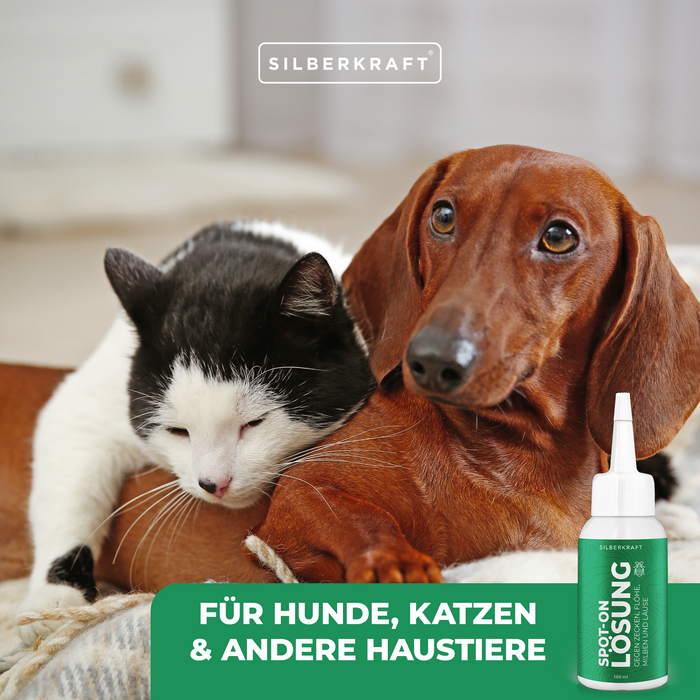 Spot On Lösung Hund und Katze