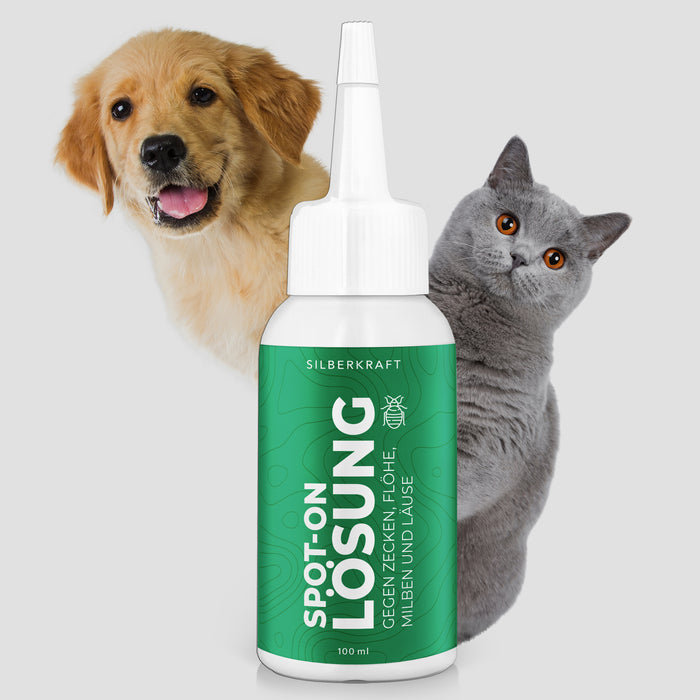 Spray anti-puces et anti-tiques pour chiens et chats