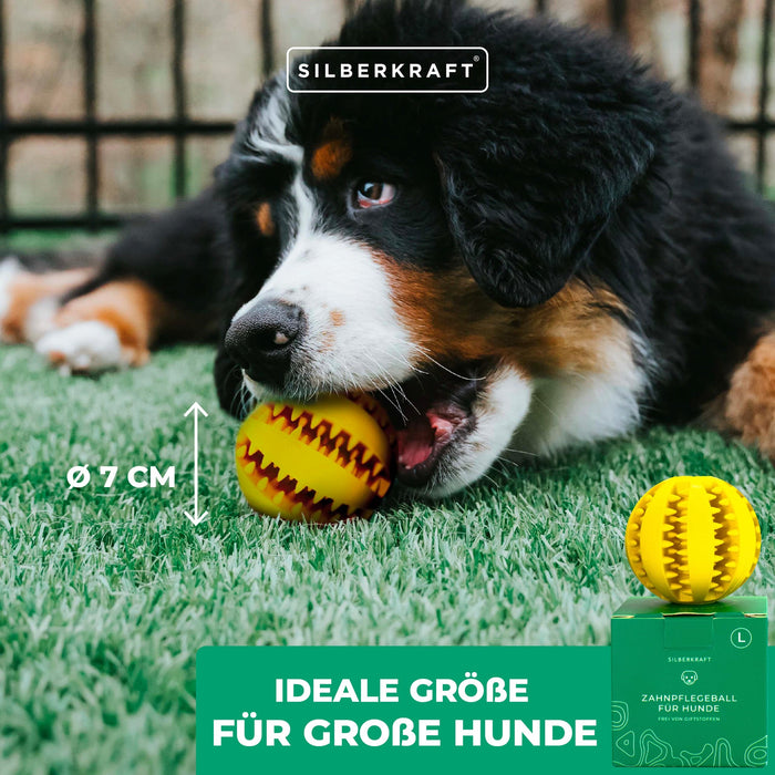 Hundeball mit Noppen zur Zahnpflege