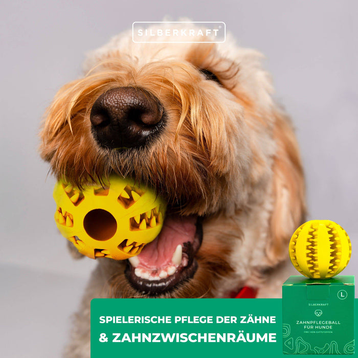 Hundeball mit Noppen zur Zahnpflege