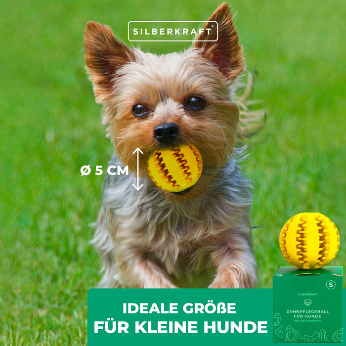 Hundeball mit Noppen zur Zahnpflege