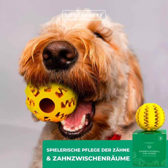 Hundeball mit Noppen zur Zahnpflege